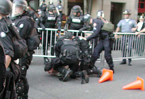 bushprotests.jpg