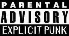 punkadvisory.jpg